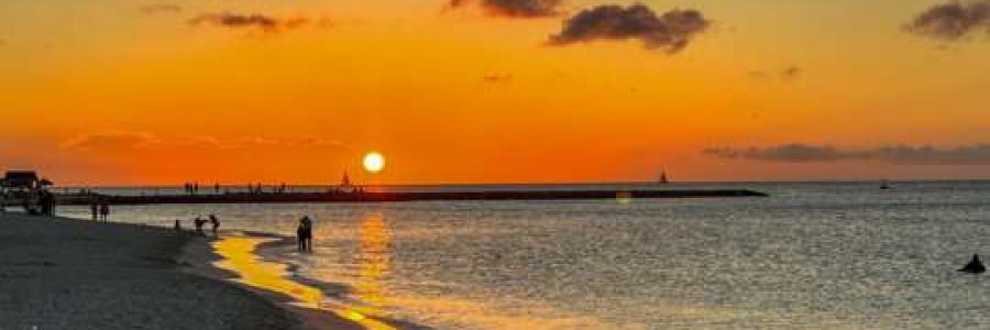 WhatsApp-Image-2024-01-13-at-17.01.51-540x304
